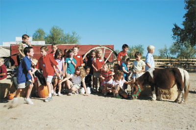 macdonalds ranch